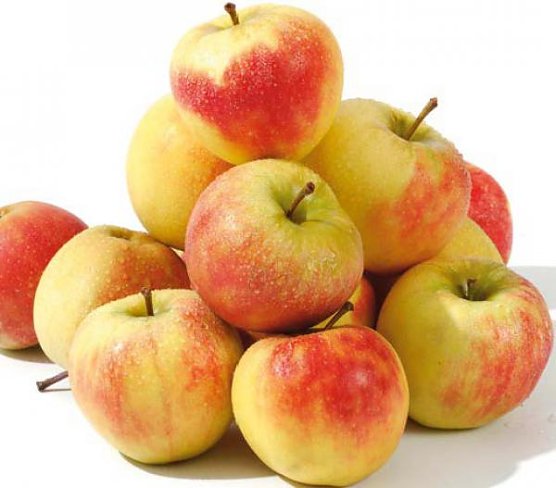 Gesundes Obst f&uuml;r Kinder in Tagesst&auml;tten und Grundschulen wird auch von der EU finanziert. Es m&uuml;ssen hierzu Antr&auml;ge gestellt werden (siehe Beitrag). (Foto: Privat)