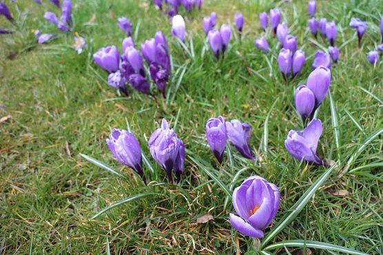 Wetterbild (Foto: Angelo Glashagel)