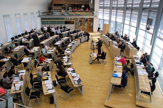 Im Hohen Haus verfolgen die Besucher aus Hettstedt (im Hintergrund oben) die Argumentation des Abgeordneten Thomas Tillschneider (AfD) f&uuml;r ein Verbot des &ouml;ffentlichen Tragens der Burka in Sachsen-Anhalt. Die Fraktionen sind teilweise sehr unvollst&auml;ndig anwesend, wie die leeren Pl&auml;tze andeuten; im Bild von hinten nach vorn: AfD, CDU, SPD, Gr&uuml;ne, Linke. (Foto: Privat)