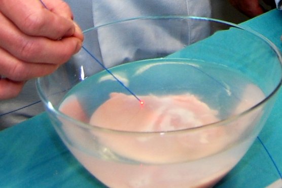 Laserdemonstration an Hähnchenfleisch (Foto: Helios/G. Lakomy) Laserdemonstration an Hähnchenfleisch (Foto: Helios/G. Lakomy)