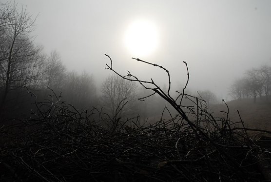 Mystische Geschichten zwischen Bach und Baum werden am Samstag in Stolberg zu h&ouml;ren sein (Foto: Biosph&auml;renreservat Karstlandschaft S&uuml;dharz)