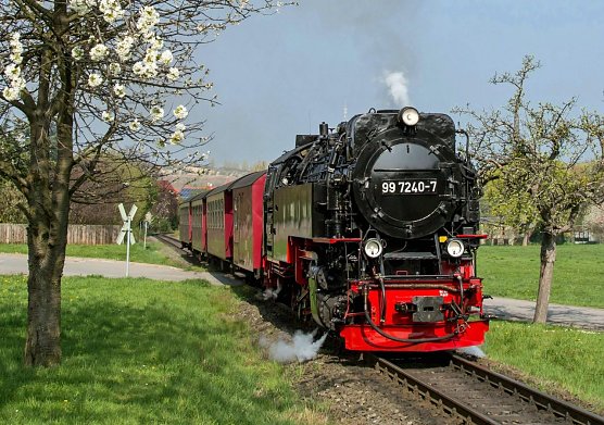 Mit Volldampf in den Fr&uuml;hling (Foto: HSB/Dirk Bahnsen)