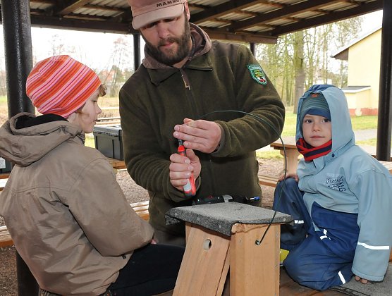 Nistk&Atilde;&curren;sten werden gebaut (Foto: Biosph&Atilde;&curren;renreservat)