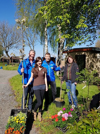 Gesponsorte Kirschb&auml;ume (Foto: Mansfelder Bergwersbahn)