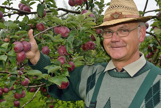 Apfel- und Wildobstwochen in der Hohen Schrecke (Foto: Thomas Stephan)