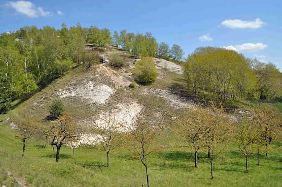 Vortragsabend zur Kyffh&auml;userregion (Foto: Regionalmuseum / Dieter Jumtow)
