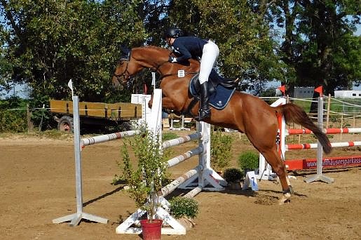 Gelungene Premiere beim Reitturnier in Heygendorf (Foto: Privat) Gelungene Premiere beim Reitturnier in Heygendorf (Foto: Privat)