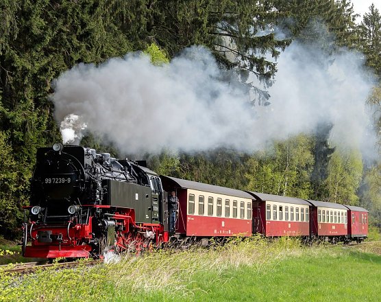 Fahrt durchs Selketal (Foto: HSB/Bahnsen)