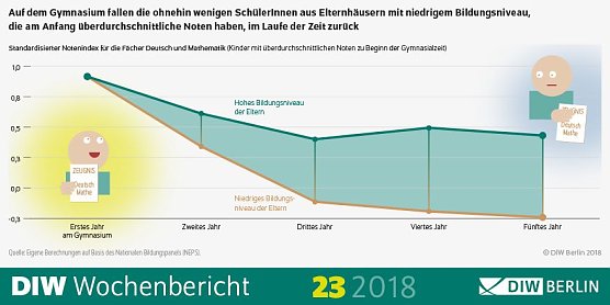 Grafik (Foto: DIW Berlin)