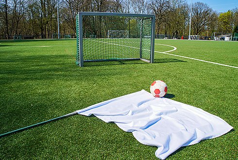 Zecken-Check auf Deutschlands Fu&szlig;ballpl&auml;tzen (Foto: Pfizer/zecken.de)