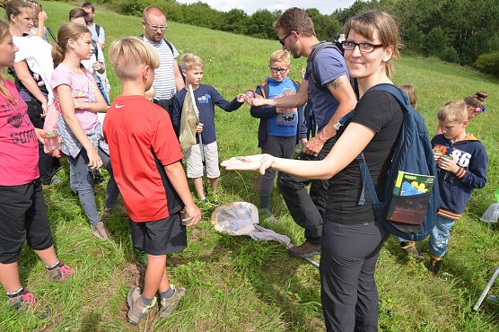 Gef&uuml;hrte Wanderungen  (Foto: Heinz Noack)