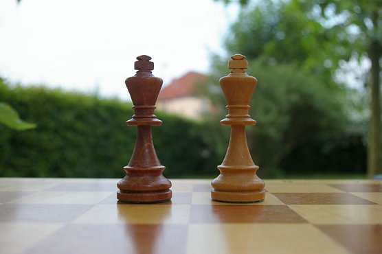 Schachfestival in Bad Frankenhausen (Foto: privat)