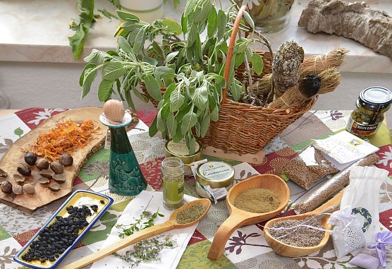 Kr&auml;uter f&uuml;r alle Sinne  (Foto: Heinz Noack)