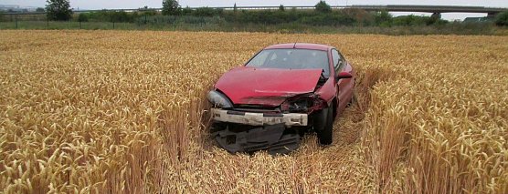 Kein Bett im Kornfeld (Foto: API)