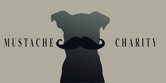 charity (Foto: marcel schneller) charity (Foto: marcel schneller)