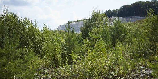 Rohstoffabbau im S&uuml;dharz (Foto: privat)