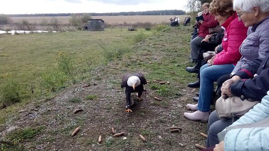 Ausflug (Foto: Kurt Frank) Ausflug (Foto: Kurt Frank)
