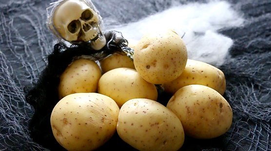 halloween (Foto: Kartoffel-Marketing GmbH)