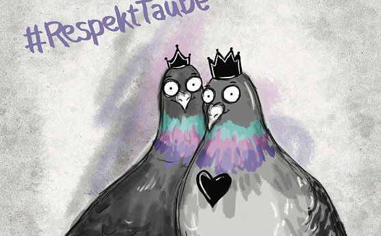 Taben (Foto: Eden Lumaj)