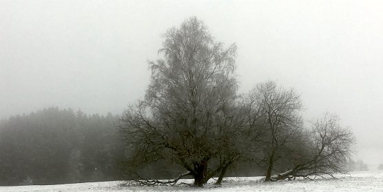 wetter (Foto: oas) wetter (Foto: oas)