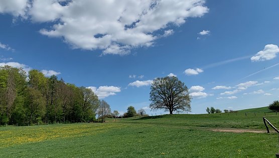 Wetter (Foto: oas) Wetter (Foto: oas)