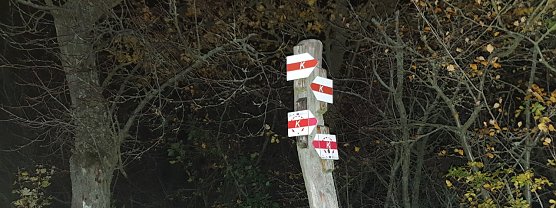 100 km durch Karst, Herbstlaub und Schlamm (Foto: privat)