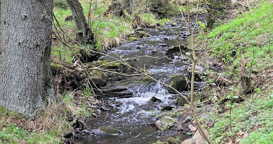 Vatertagswanderug (Foto: P.Blei)