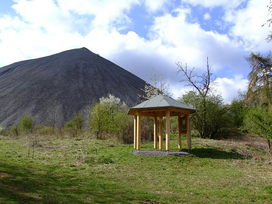Hohe Linde (Foto: Biosph&auml;renreservat )