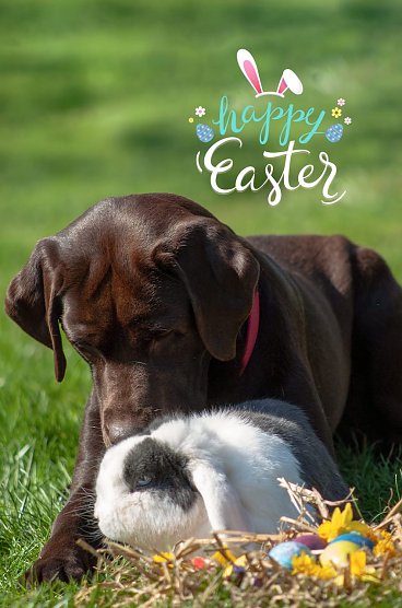 Zwei gute Freunde (Foto: T. Scholz)