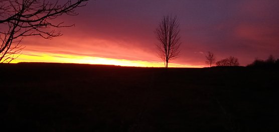 Farbenfroher Himmel (Foto: Petra Gnettner ) Farbenfroher Himmel (Foto: Petra Gnettner )