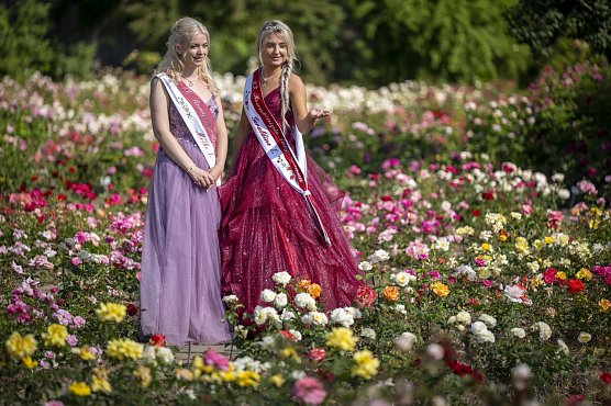 Rosenk&ouml;niginnen (Foto: Stadt SGH)