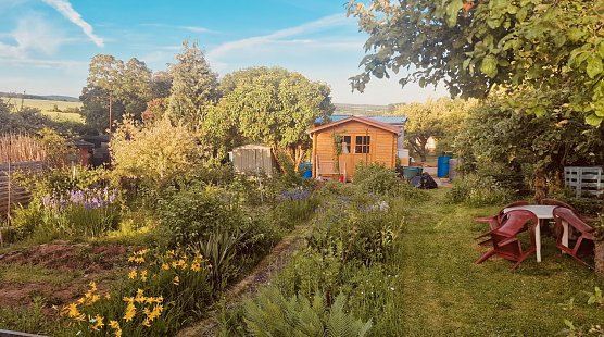 Bild: Schrebergarten in Nordhausen