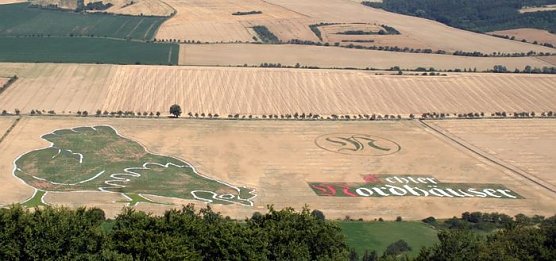 Die letzte Chance (Foto: privat) Die letzte Chance (Foto: privat)