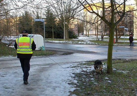 Polizei sucht Spuren (Foto: Polizei) Polizei sucht Spuren (Foto: Polizei)