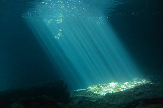 Bild: Tipps f&uuml;r die Unterwasserwelt
