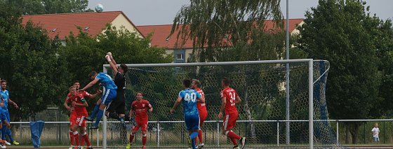Bild: Wacker versteckt sich nicht.