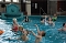 Pool-Party im Badehaus.NNZ-City Scout on Tour