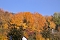 Herbstfarben am Panoramaweg bei Blankenburg