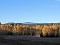 Herbst im Harz Herbst im Harz