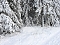 Winterliche Harzimpressionen