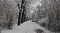 Winter unterm Kyffh&auml;user