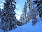 Im Brandesbachtal