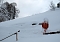 Wintergr&uuml;&szlig;e