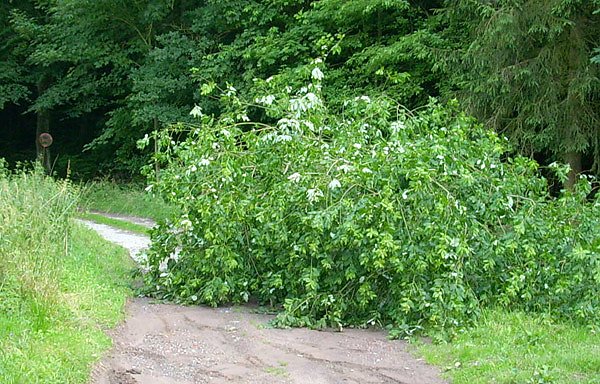 Bild: Sperre am Heringer Weg