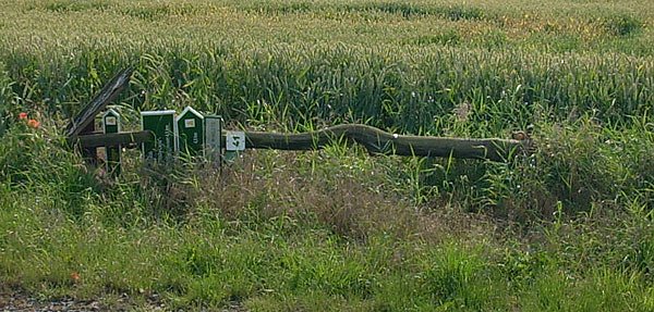 Bild: Sperre am Heringer Weg