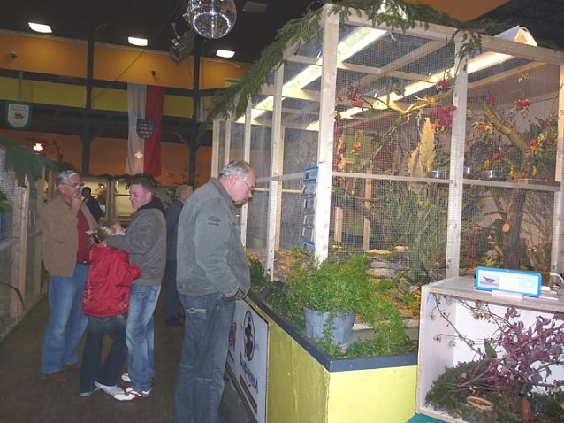 Bild: Ziergefl&uuml;gelausstellung