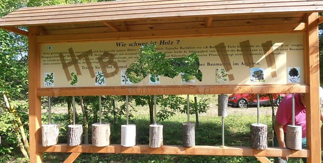 Bild: Wie schwer ist Holz?, wird hier gefragt. Das "Gr&uuml;ne Klassenzimmer" bei Hettstedt war eine sch&ouml;ne Sache, doch gewissenlose Menschen haben st&auml;ndig ihre Zerst&ouml;rungswut daran ausgelassen.