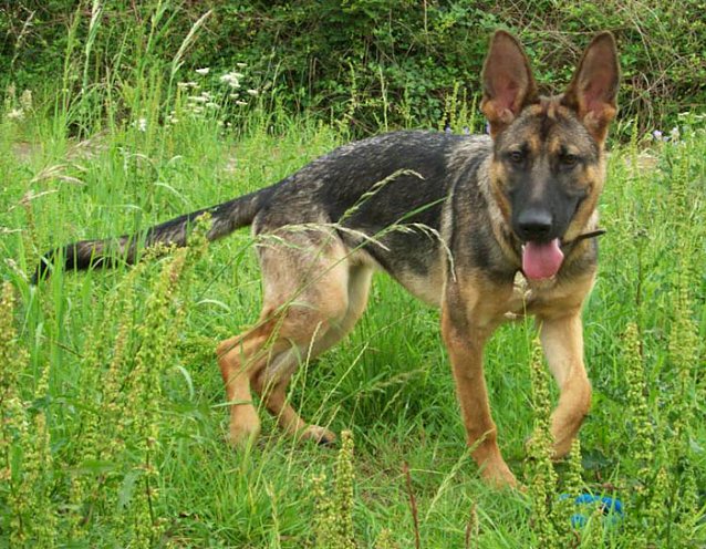 Bild: Edda