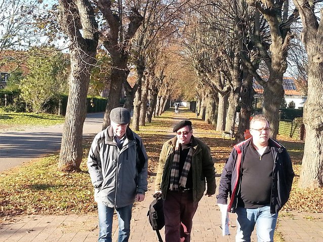 Bild: Unter Linden. Norbert Worch von der Kelbraer B&uuml;rgerinitiative, Peter Frobel von Pro Baum und Jens Diederichs, Mitglied des Landtages, auf der Suche nach L&ouml;sungen f&uuml;r eine baldige Pflege der Allee.