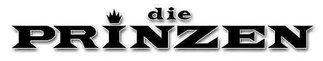 Bild: Die Prinzen kommen wieder!!